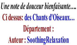 Une note de douceur bienfaisante….  Ci dessus: des Chants d'Oiseaux… Département :     Auteur : SoothingRelaxation