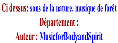 Ci dessus: sons de la nature, musique de forêt   Département :    Auteur : MusicforBodyandSpirit